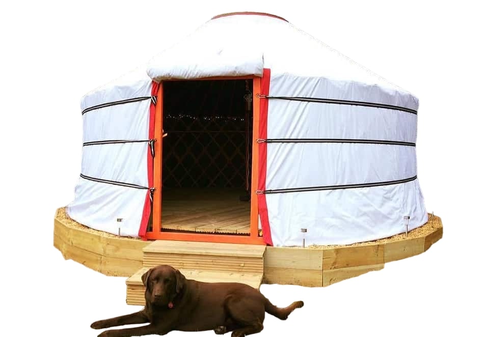 Camping-Yurt-with Dog