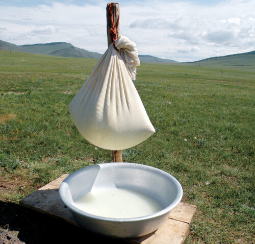 Making of Curd