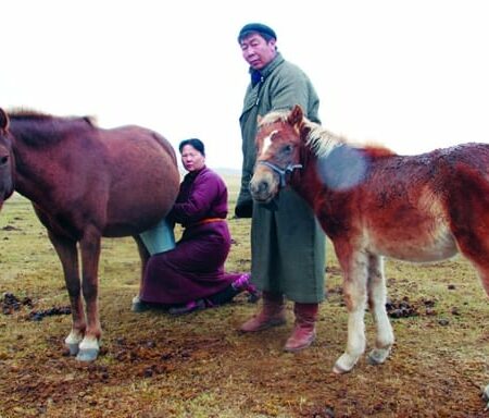 Airag – Mongolian Traditional Fermented Mare’s Milk