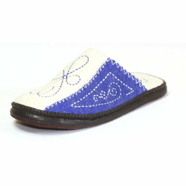 Side of White and Blue Slipper