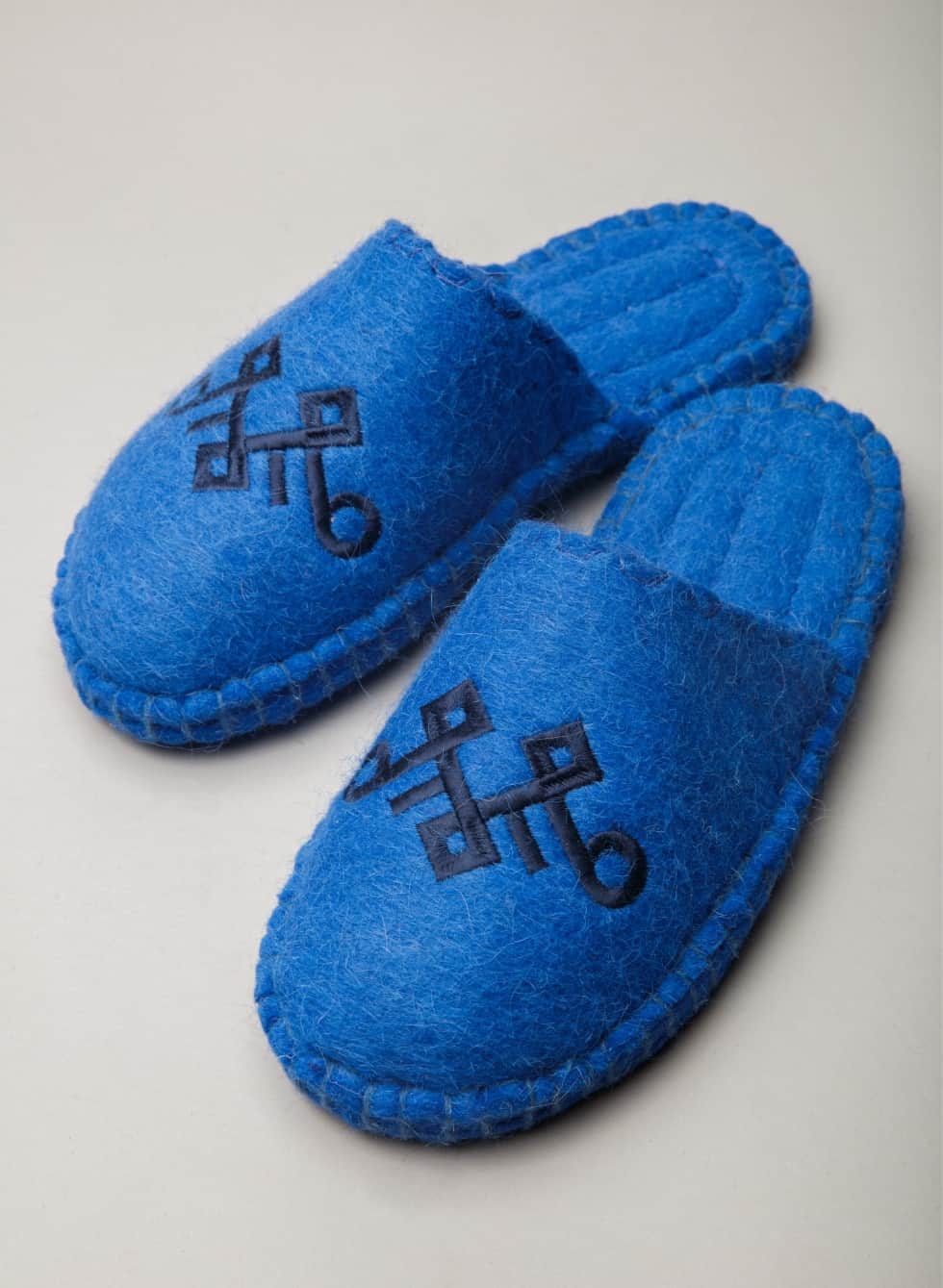 blue slippers