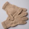 Camel Woolen Adult's Gloves