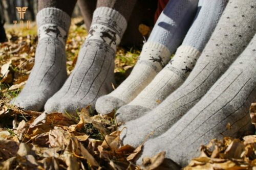 sheep socks in nature e1690269764733