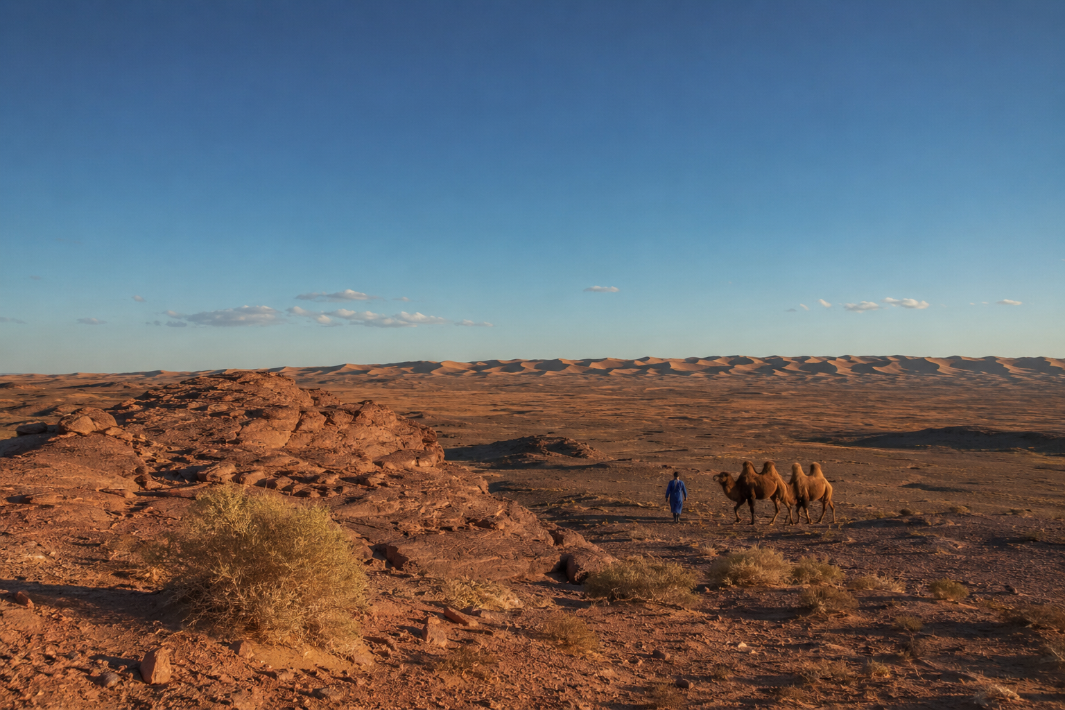 Mongolian Gobi Desert: Landscapes, Wildlife and Travel Guide 7 Mongolian Gobi Desert landscape with Bactrian camels and herder