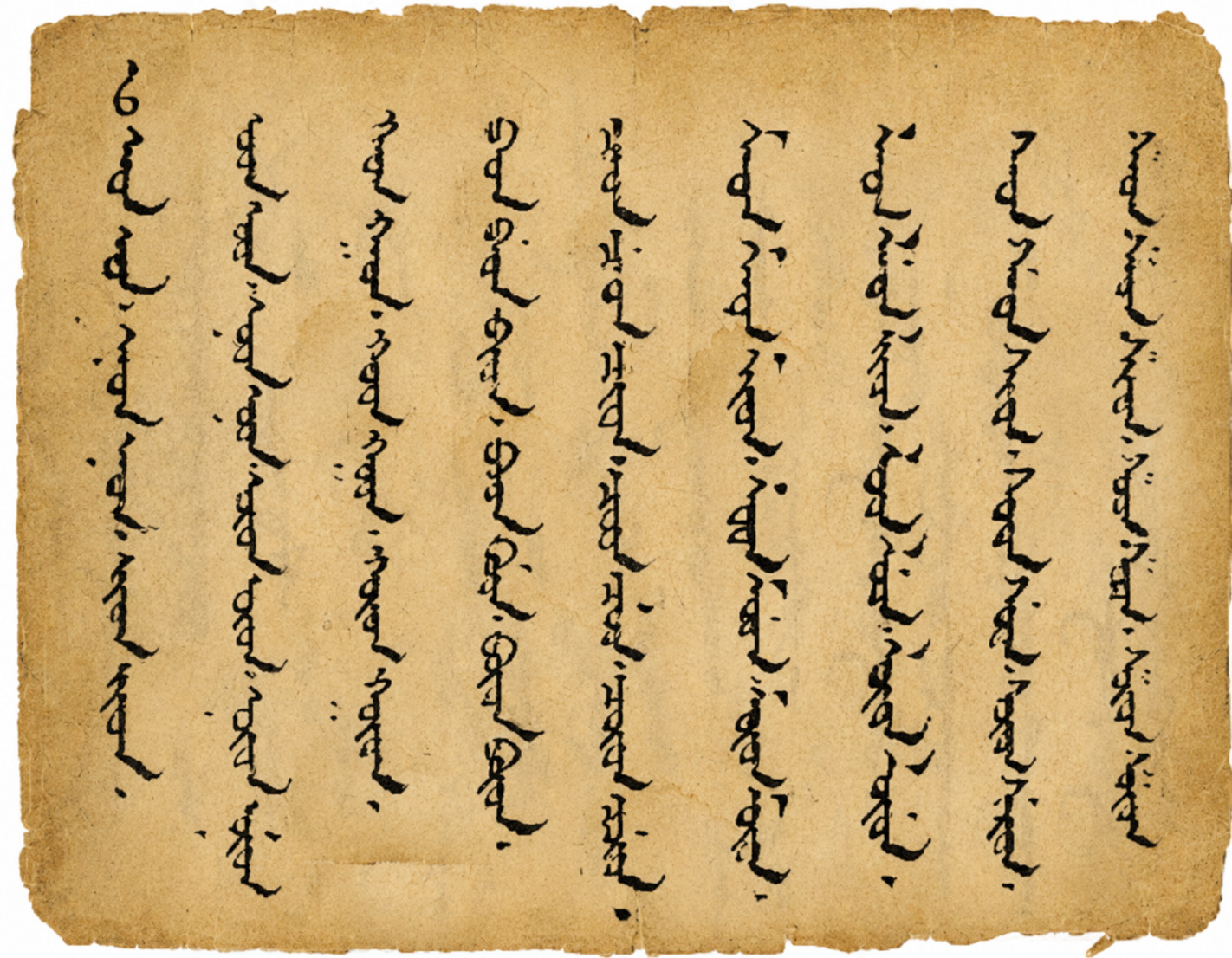 Historical Mongolian script manuscript